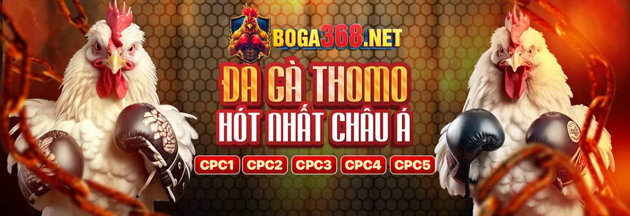 Đá Gà Trực Tuyến FT88